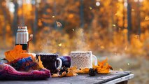 Soothing Autumn Music for Anxiety, Stress relief   Autumn Relaxing Piano Music Meditation