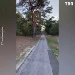 Aux Pays-Bas, un cycliste se fait poursuivre par un loup