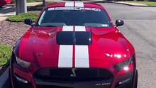 Mustang Shelby gt500#shelby500#shorts