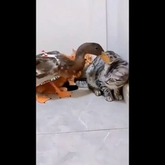 TAK TAU SIAPA YANG SALAH Part 2