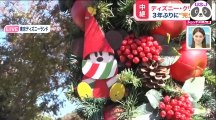 生中継　ディズニーのクリスマス2022 ディズニーランド ディズニーシー11月8日