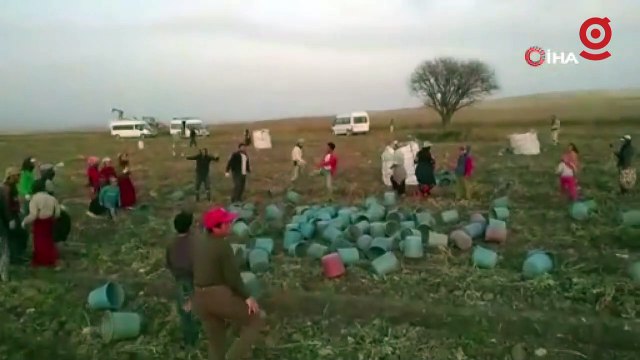 Kep atma değil, hasat sona erme töreni