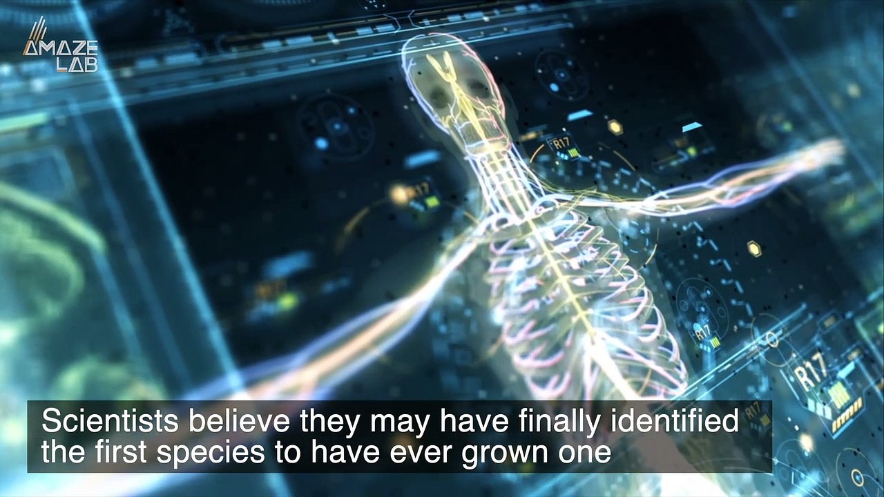 This is the First Creature Scientists Say Ever Had a Skeleton