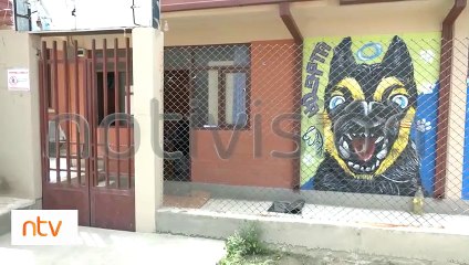 Permanece en Zoonosis: “Walfred” es el can de raza rottweiler que atacó a una mujer de 67 años