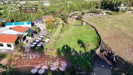 행복한(●'◡'●) 젖소의 건강한 우유를 활용한 다양한 맛을 낸 유제품들