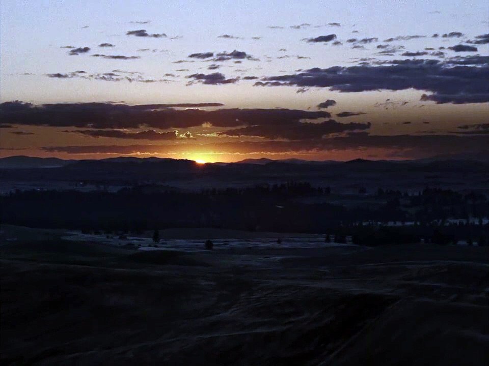 The Whale Trailer OV