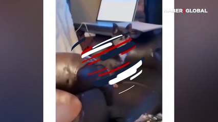 Havlamayı unutan köpek çıkardığı sesle kahkahaya boğdu