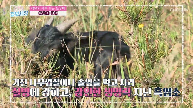 갱년기 질환을 잡는 여성 건강 도우미 『●●●』 TV CHOSUN 221108 방송