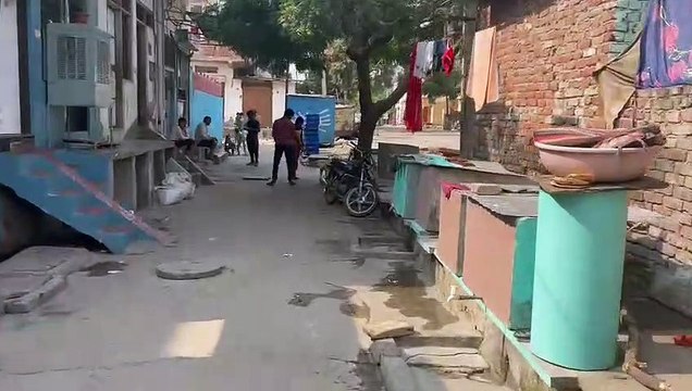 श्वान को दर्द देने वाले आरोपी की तलाश जारी, उपचार करने के बाद छोड़ा