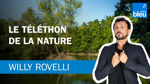 Aux arbres citoyens , le Téléthon de la nature - Le billet de Willy Rovelli