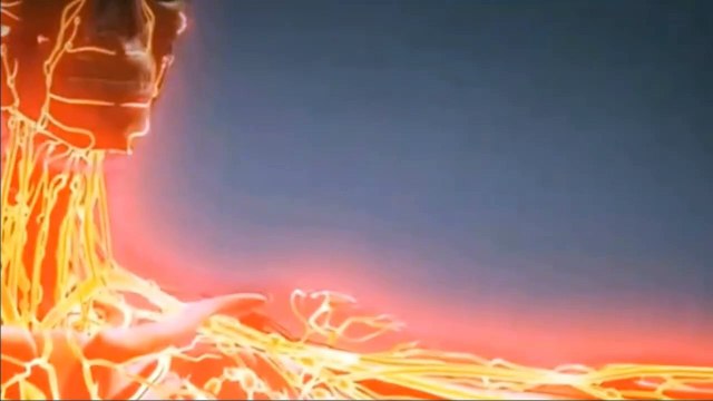 فوائد شرب القهوة