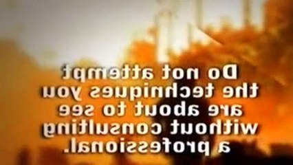 The Dog Whisperer Season 4 Episode 5 Reggie, Diva, Rocco, Vito And Mugsy