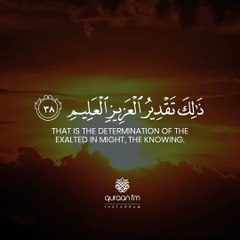 Surah Yaseen  Qari Tareq Mohammed  سورة يس  القارئ طارق محمد