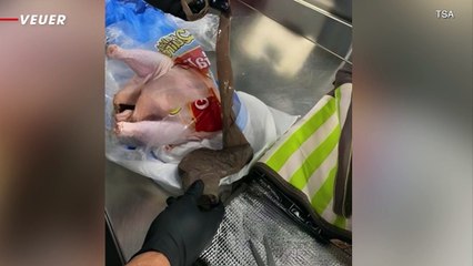TSA Busts Gun-Stuffed Raw Chicken