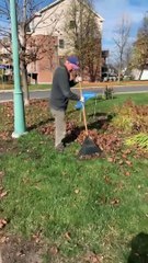 Louis Desalliers ramasse ses feuilles au râteau