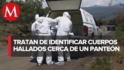 Investigan hallazgo de ocho cuerpos en Tarímbaro, Michoacán