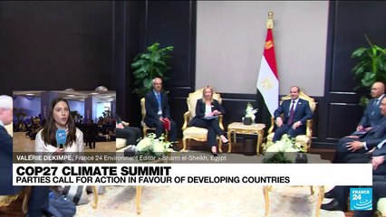 COP27: Africa says more efforts needed to fight climate change