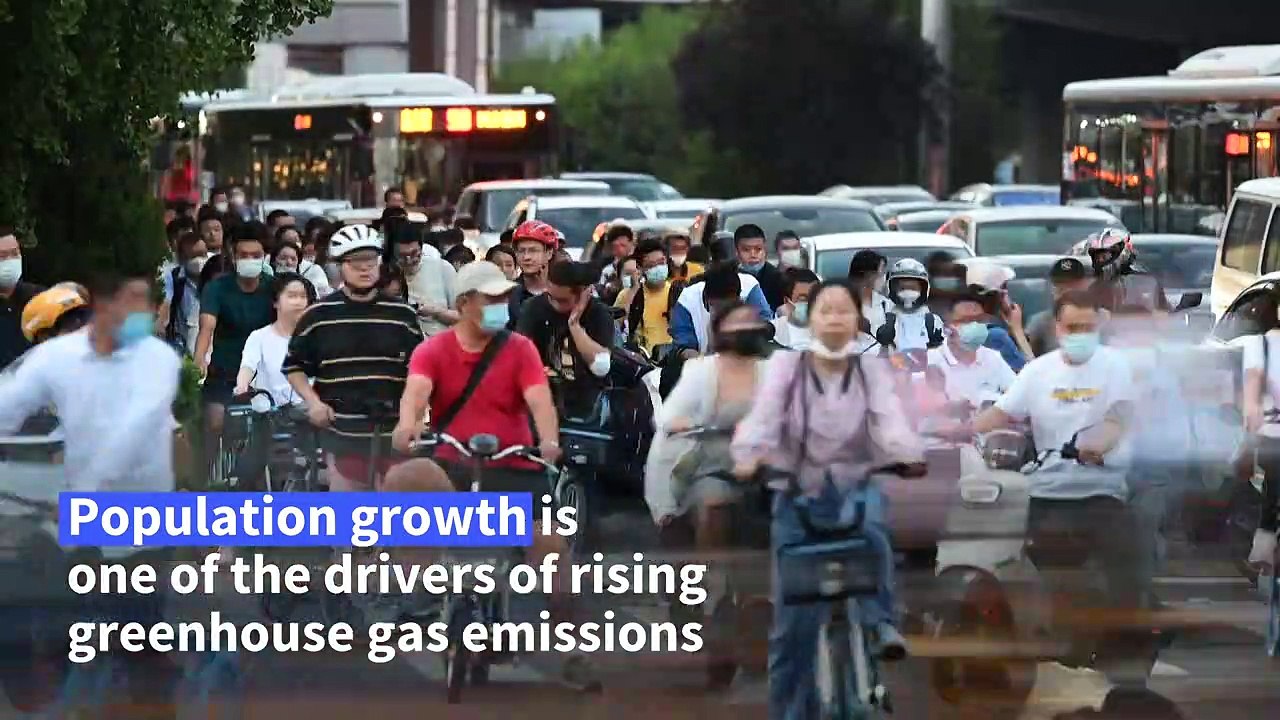 As world nears 8 billion, citizens speak on China's slowing birth rate