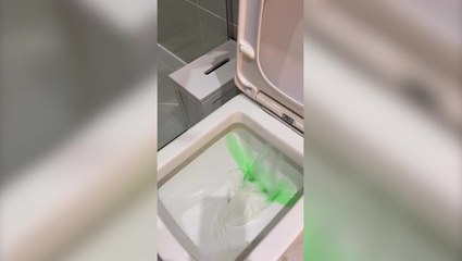 Mother reveals clever hack to unblock toilet using everyday household product