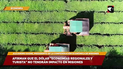 Afirman que el dólar "economías regionales y turista" no tendrán impacto en Misiones
