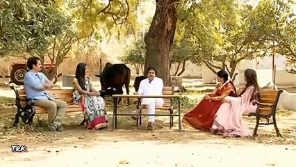 South actors talking about Shahrukh khan