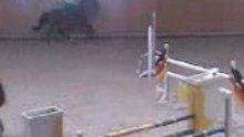 Cours de saut a marsens