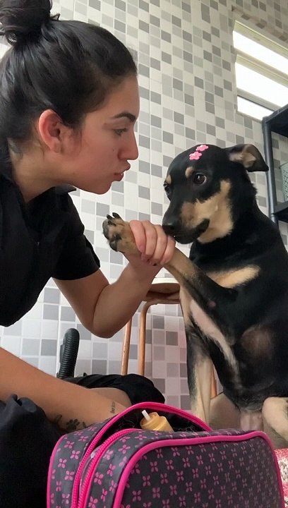 Dog Doesn't Want Its Nails Clipped