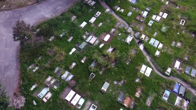 Más de 100 casos de Necrofilia se reportan en Honduras desde 2012