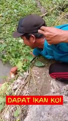 get koi fish fishing in dirty water