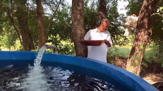 Black Chicken Curry - Cooking Kadaknath In Village - Mubashir Saddique - Village Food Secrets