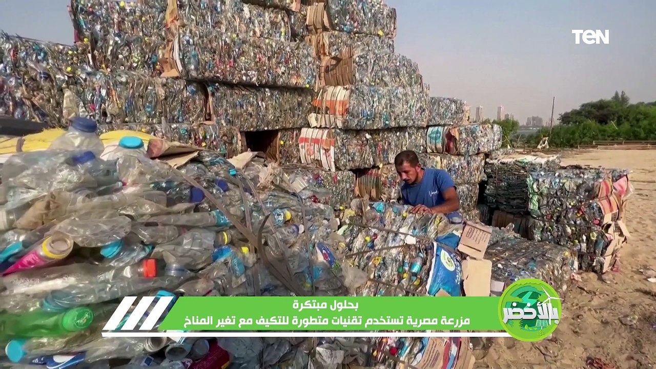 بحلول مبتكرة.. مزرعة مصرية تستخدم تقنيات متطورة للتكيف مع تغير المناخ