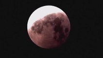 Beaver blood moon: Timelapse of the eclipse over America