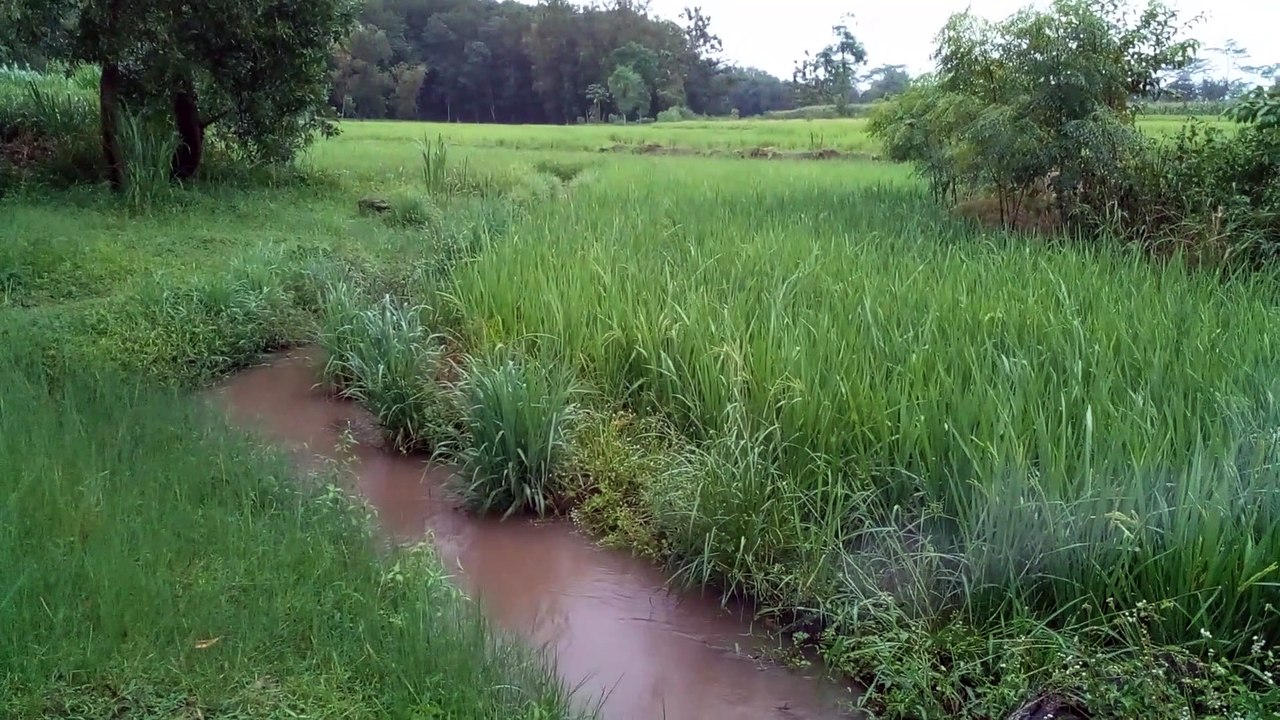 Pandanglah jauh kedepan