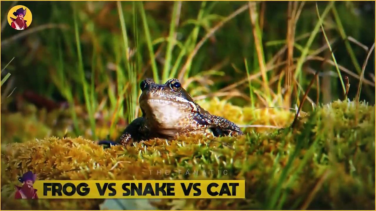 35 Times Predators Messed With The Wrong Prey