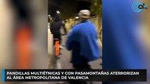 Pandillas multiétnicas y con pasamontañas aterrorizan al área metropolitana de Valencia