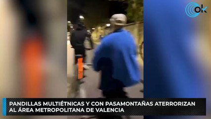 Pandillas multiétnicas y con pasamontañas aterrorizan al área metropolitana de Valencia