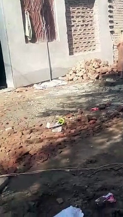 VID-20221024-WA0049