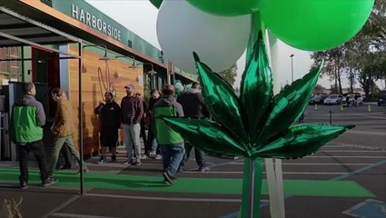 Which states have cannabis on the ballot this election day?