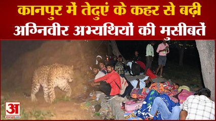 UP News: कानपुर में तेदुएं के कहर से बढ़ी अग्निवीर अभ्यथियों की मुसीबतें | Kanpur News