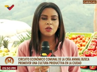 Circuito económico comunal de la cría animal busca promover una cultura productiva en Caracas