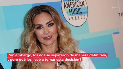 ESTO causó la separación entre Luis Miguel y Aracely Arámbula