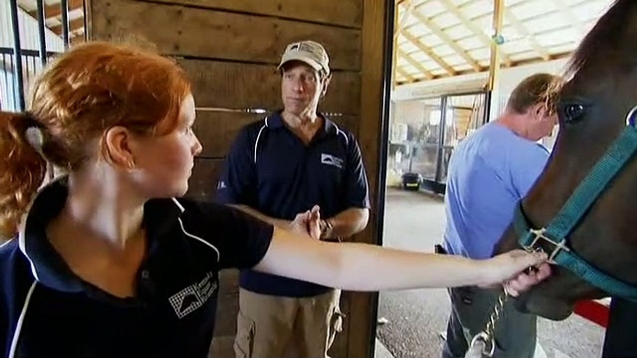 Dirty Jobs - Arbeit, die keiner machen will Staffel 5 Folge 9 HD Deutsch