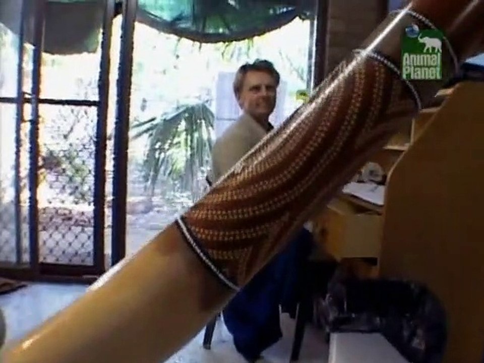 Crocodile Hunter Staffel 4 Folge 9 HD Deutsch