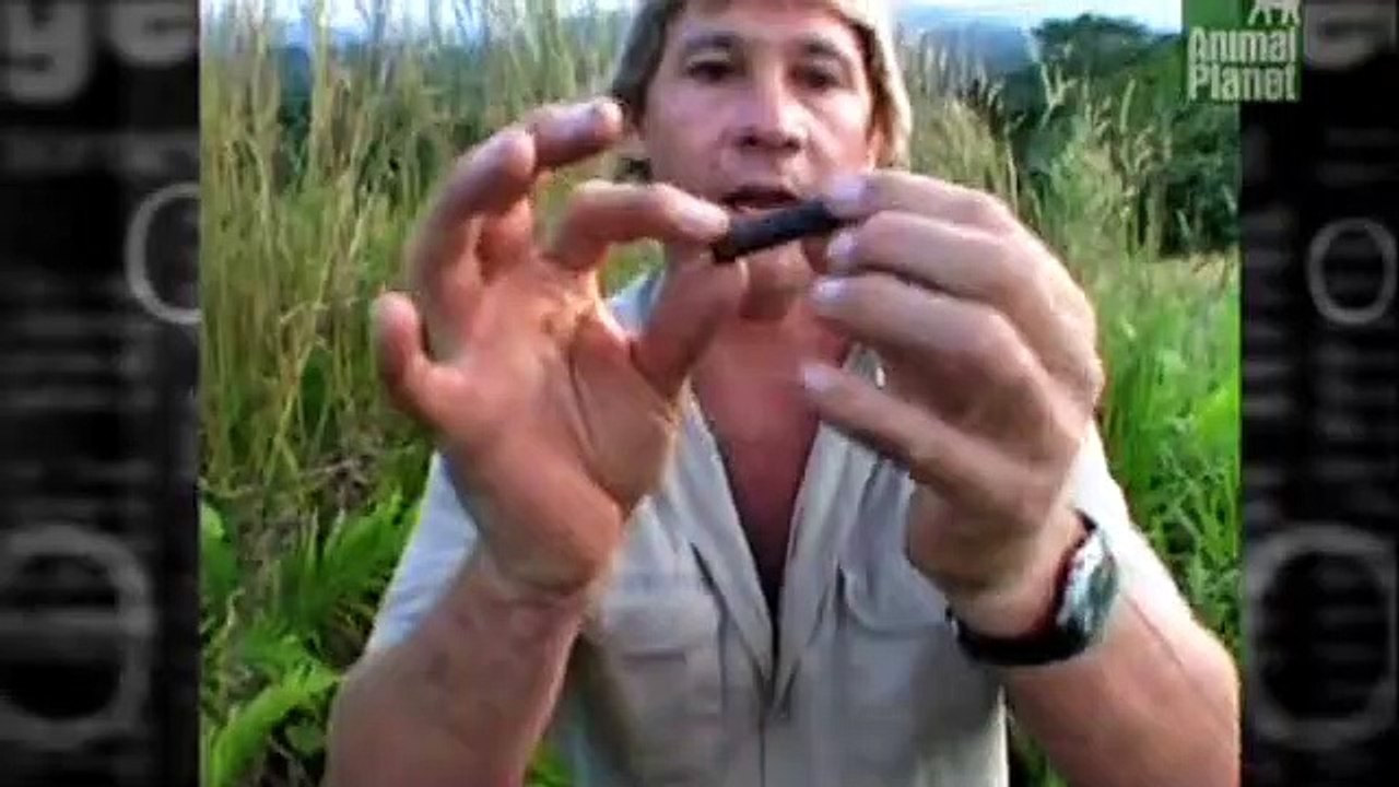 Crocodile Hunter Staffel 5 Folge 2 HD Deutsch