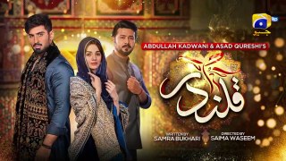 Qalandar Episode 08 - [Eng Sub]- Muneeb Butt - Komal Meer - Ali Abbas - 5th Nov 2022 - HAR PAL GEO