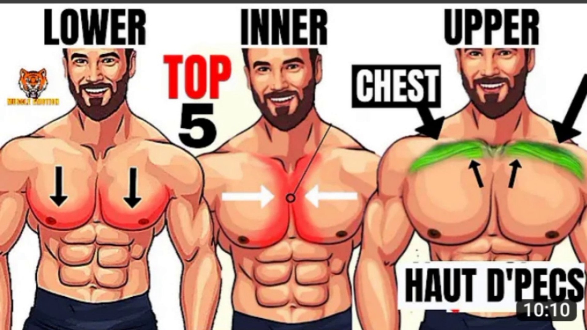 top 5 inner, lower and upper chest workout at gym - video Dailymotion