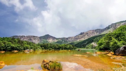 beautifull nature
