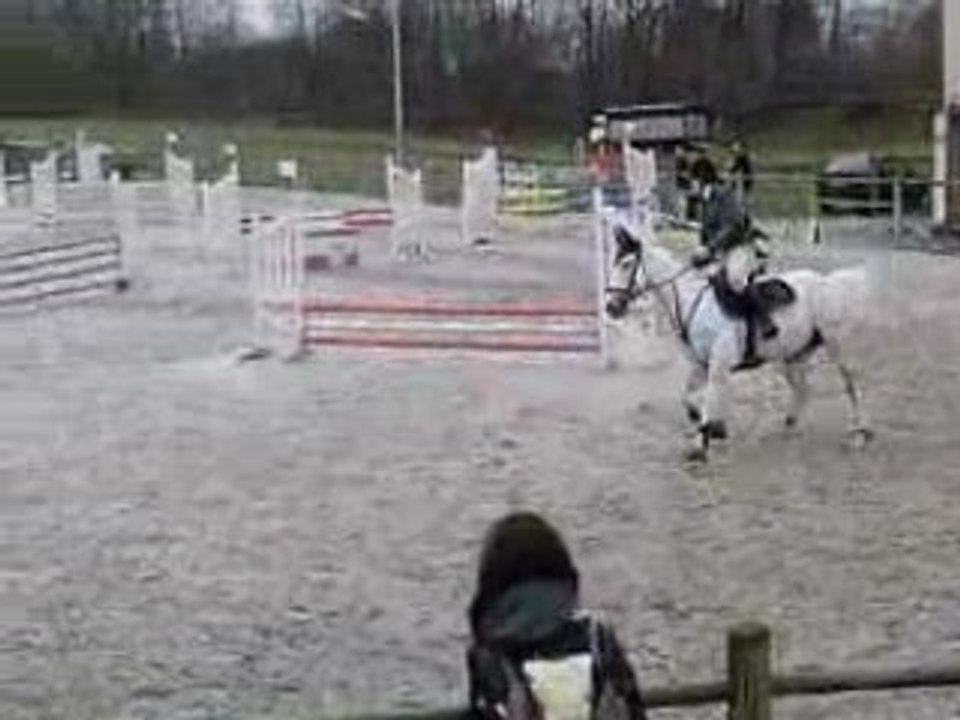 kerria cso