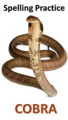 Spelling Practice. Clip No. 17