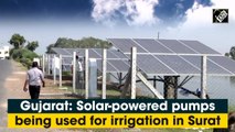 Solar-powered pumps being used for irrigation in Gujarat's Surat